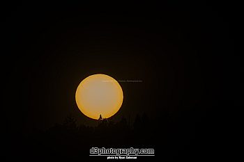 Sun Silhouetting Ridgeline